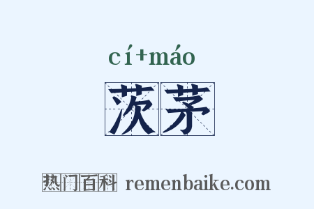 茨茅是什么意思的图片